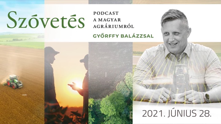 Farkastámadások a károsult gazdák szemszögéből